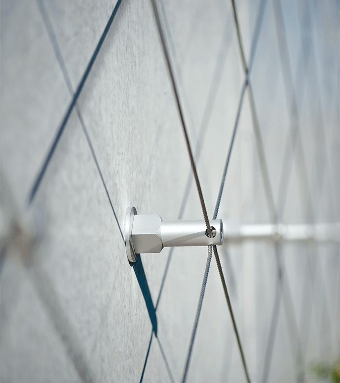 Plot avec câble montés dans le mur pour végétalisation de façade