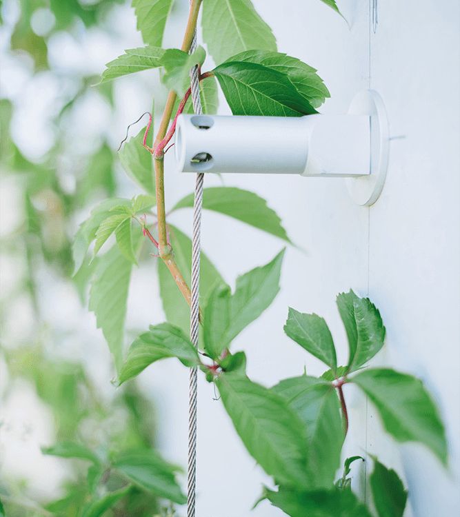 Plot et câble GREENCABLE pour support de plante grimpante