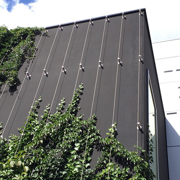 Mur végétalisé du Conservatoire Niedermeyer