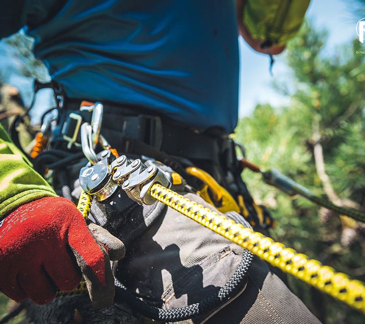 Travail en hauteur, longe de sécurité, harnais de sécurité